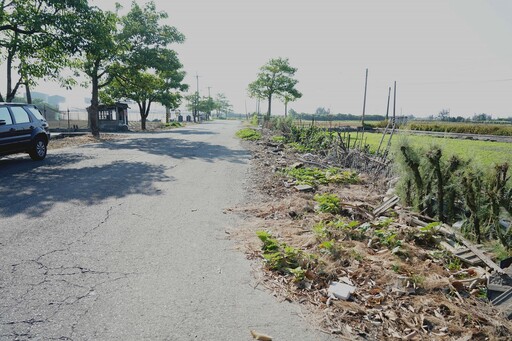 張麗善會勘台西道路排水 改善行車安全