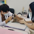 大立百貨雙重奏 守護兔寶健康