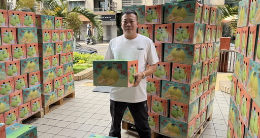 一箱箱柚子疊成幸福高牆 「豐哥」守諾超霸氣