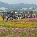 全台最大花卉盛典 台中國際花毯節盛大開幕