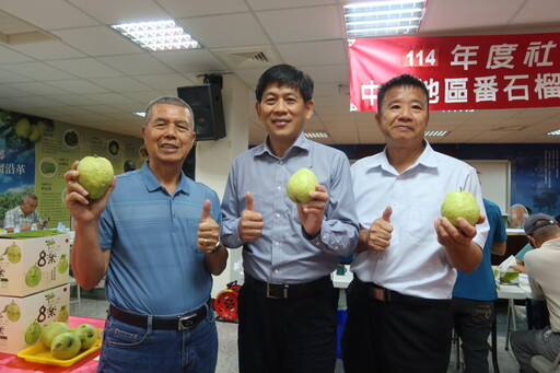 社頭鄉芭樂最甜脆!囊括個人組及團體組冠軍