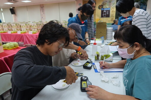 社頭鄉芭樂最甜脆!囊括個人組及團體組冠軍