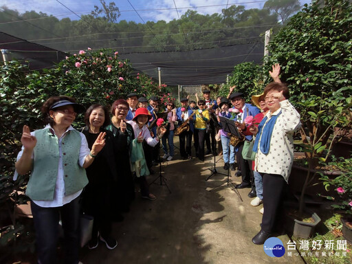 「中華大學茶花祭」佳信茶花園開幕 邀約走入茶花世界