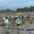 里海學堂海岸教育遊學開跑 帶你認識桃海生態區