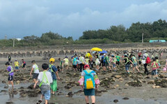 里海學堂海岸教育遊學開跑 帶你認識桃海生態區