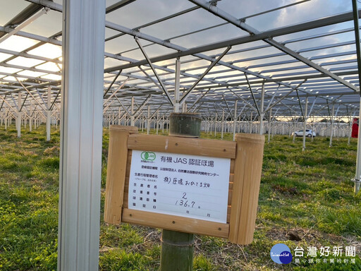 彰化取經日本千葉農場 農電共生創造多贏
