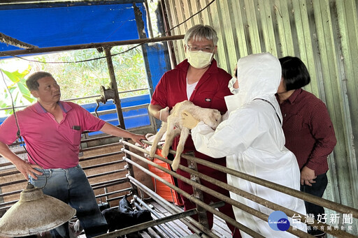 羊隻在養頭數全國最多 台南市府行銷優質羊產品