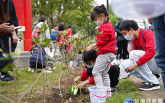 「一起集點樹」竹縣植樹節 中央地方攜手鄉親合力種樹