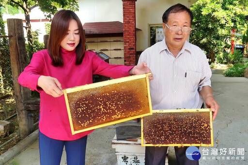 蜂蜜產量史上最慘 馬文君召農業部下鄉傾聽蜂農心聲