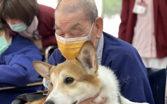 治療犬暖心互動 北榮新竹分院護理之家洋溢歡樂氛圍