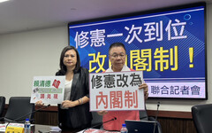 台南藍營議員要求立院成立「修憲委員會」 喊總統制改內閣制