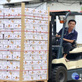 台南芒果外銷新加坡 首批700多箱封裝進櫃