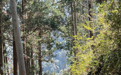 林業保育署南投分署攜手丹大布農協會 發展人倫生態旅遊