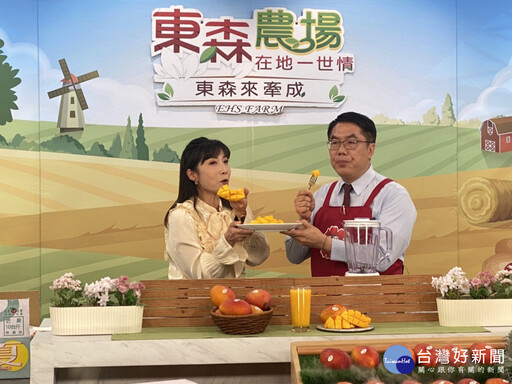 台南芒果狂銷 黃偉哲電視叫賣12公噸完售
