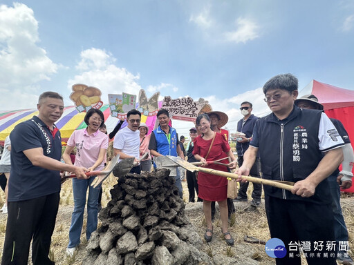 豐原一期稻收割 千人作伙焢窯紮稻草人