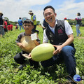 親身體驗種瓜、採瓜 蘇俊賓推廣溪海西瓜節食農教育