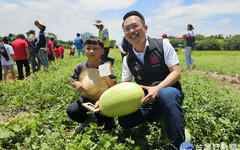 親身體驗種瓜、採瓜 蘇俊賓推廣溪海西瓜節食農教育