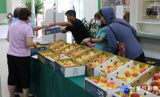尖石水蜜桃設攤開賣 新竹郵局新鮮上市