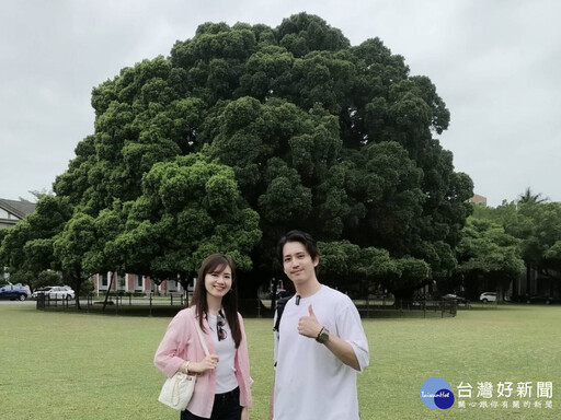 日本藝人松野高志姊弟遊臺南 尋訪城市老樹與在地美食