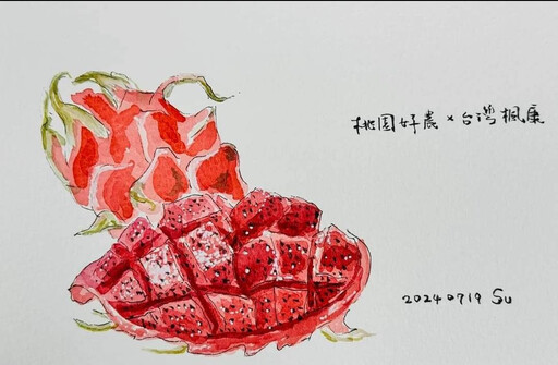 蘇俊賓手繪火龍果行銷桃園小農 臉書成了許願池