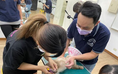 霧峰林家花園林獻堂博物館國際教育中心推貓咪美學課程 讓愛貓族輕鬆為自家毛寵打理門面