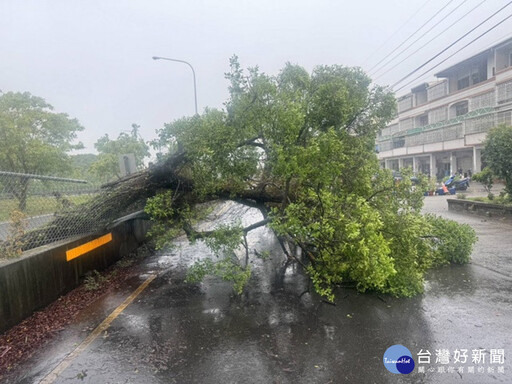 凱米颱風肆虐 台中烏大龍地區多處路樹倒塌 警迅速排除