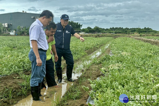 凱米颱風造成農損 桃市府農業局急赴各區勘災