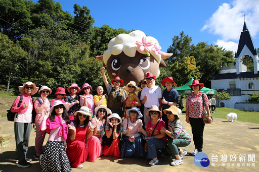 凱米颱風攪局 清境農場「Happy羊羊」終於上班了