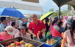 「桃界愛馬仕˙精品蜜桃in梨山」 梨山水蜜桃限時優惠銅板價