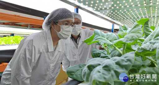 AI助力無毒蔬菜 綠色農金解糧食危機