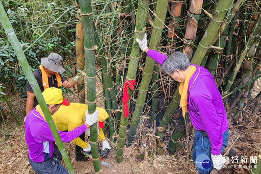 中元普渡豎立燈篙 八德三元宮依古禮完成採竹