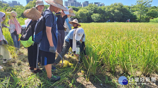 新北河濱公園濕地體驗 永續環境教育從小扎根