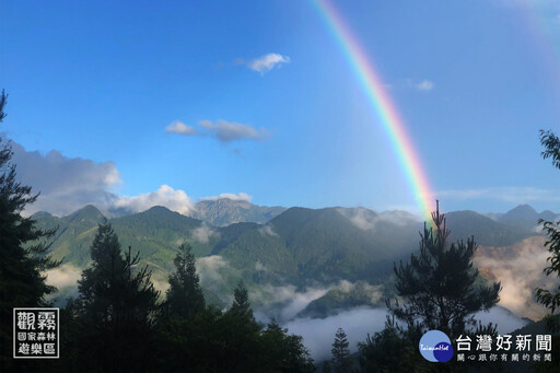 雲音繚繞的森林療癒小旅行 就在觀霧森林