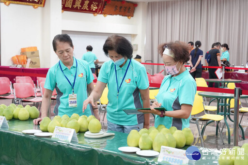 新北文旦柚展售會9/7登場 食農闖關送文旦