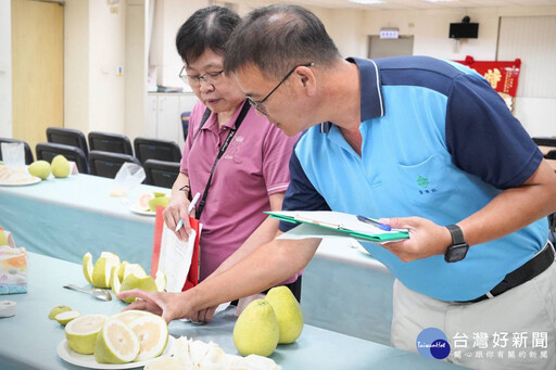 新北文旦柚果品評鑑 張讚群獲得冠軍殊榮