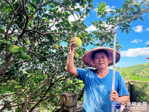 千年古物化身甜點 十三行攜手福朋喜來登推文化寶藏午茶組