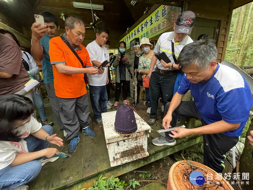 活絡山村綠色經濟 林保署南投分署攜手仁愛鄉賽德克族共管會齊心努力