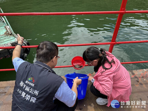 維護大甲溪生態平衡 2.2萬尾魚苗放流德基水庫