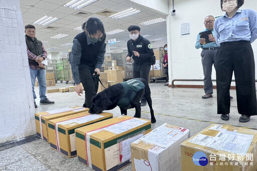 防範非洲豬瘟 南市辦新住民防疫宣導活動