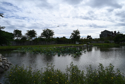 台東森林公園新風貌 復育原生種重啟生態平衡之美