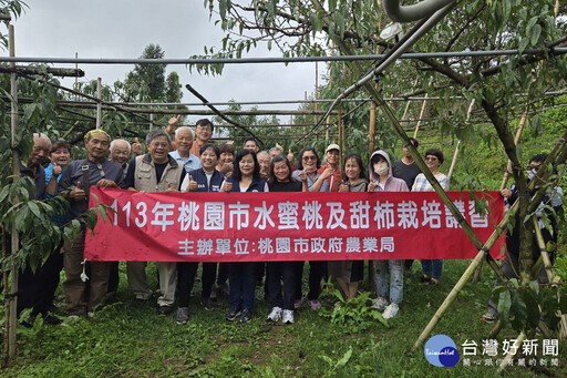 輔導拉拉山果樹產業再升級 桃市農業局舉辦水蜜桃栽培技術診斷研習