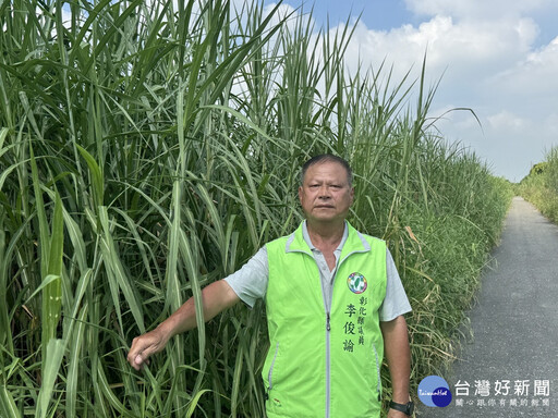 舊濁水溪堤岸道路雜草叢生影響人車視線 居民陳情議員盼改善