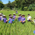 彰化福德國小惜食體驗倡議世界糧食日 學生用永續珍愛地球