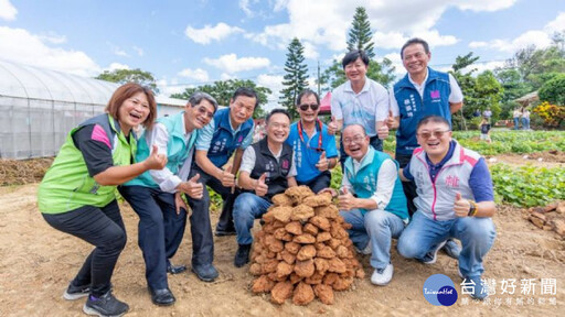 大園甘藷評鑑活動熱鬧登場 蘇俊賓力推桃園優質甘藷