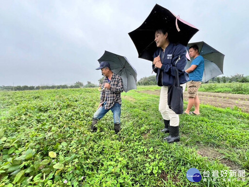 強烈颱風康芮逼近 桃市農業局啟動防颱整備計畫