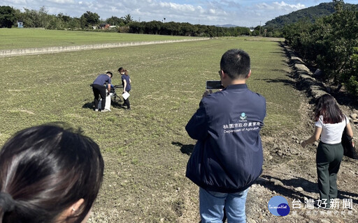 桃園利用無人機防治紅火蟻 大溪水岸農遊更安全好玩