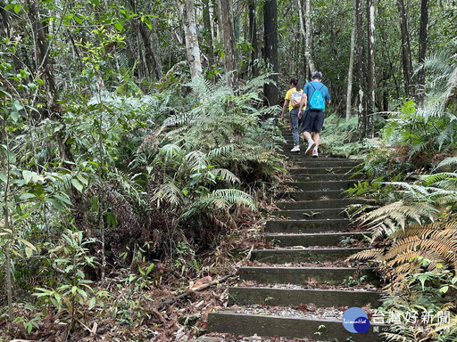 林保署南投分署步道巡檢教育訓練 走在步道更安全