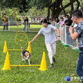 「毛孩SHOW TIME」 太平市民野餐日坪林森林公園登場