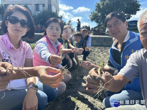 康芮颱風重創台中馬鈴薯 楊瓊瓔爭取現金救助每公頃4.1萬元