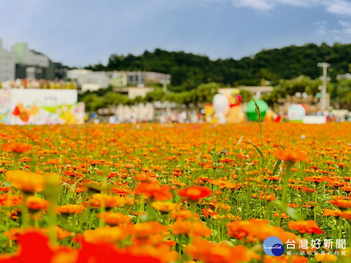 大溪水岸花卉農遊 蘇俊賓：賞遊美麗花海並支持桃園好農